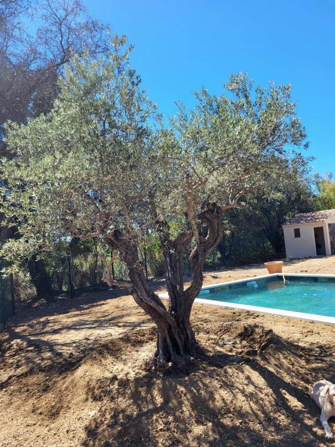 Villa Gitedelea Aubignan Bagian luar foto